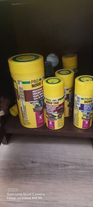 Acvariu cu pesti