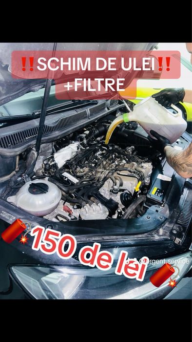 Service auto sector 5