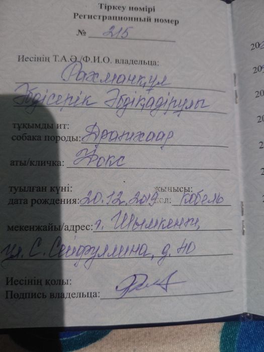 Доберман ит охотаға