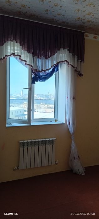 Шарк малочка калсо