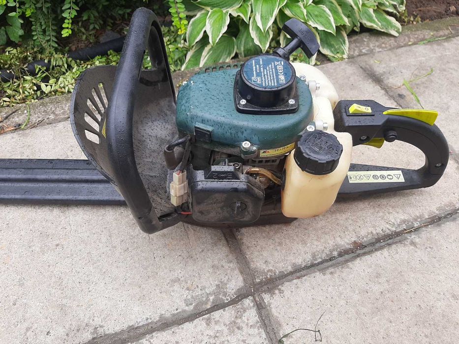 Бензинов храсторез -Park