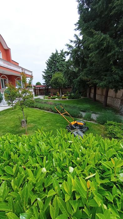 Градинарски услуги!!!