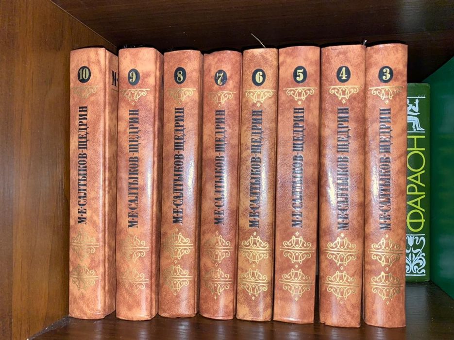 Книги Салтыкова-Щедрина