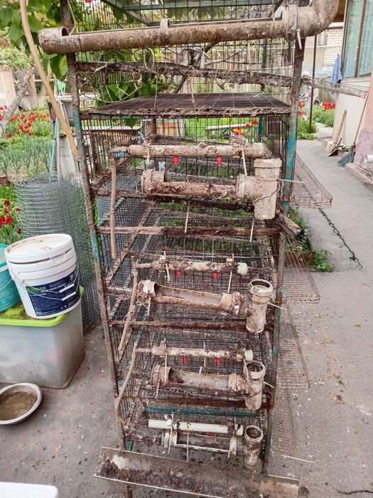 Продам клетки для перепелов б/у 5 штук
