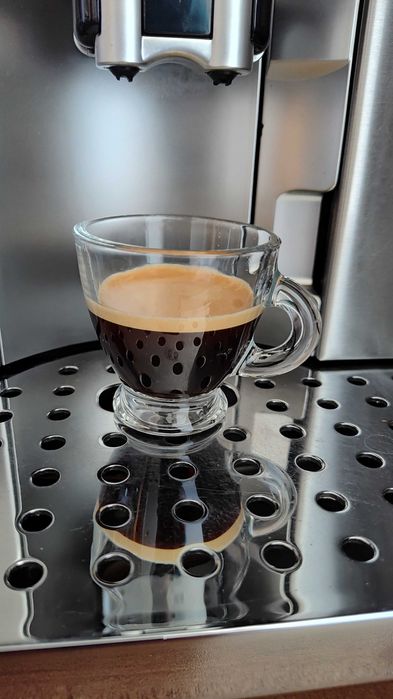 Delonghi PrimaDonna ESAM6600