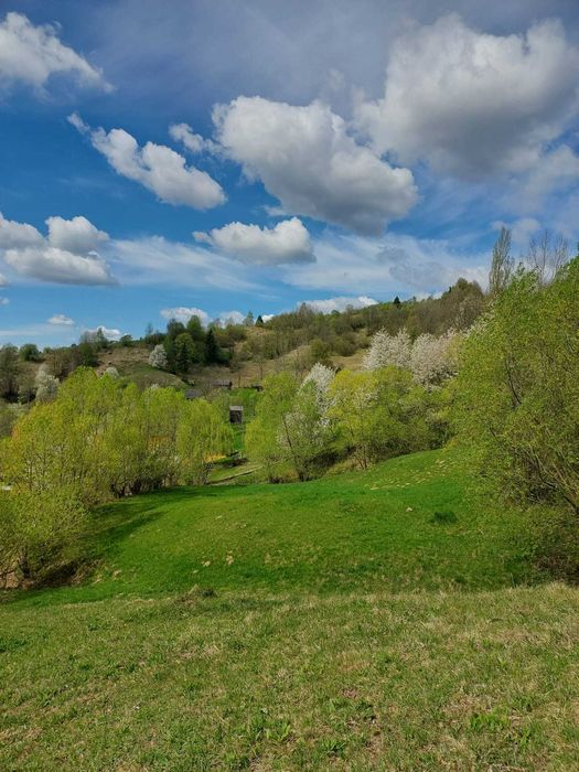 Teren de vanzare in Borsa, strada Malului, 28 ari, intravilan