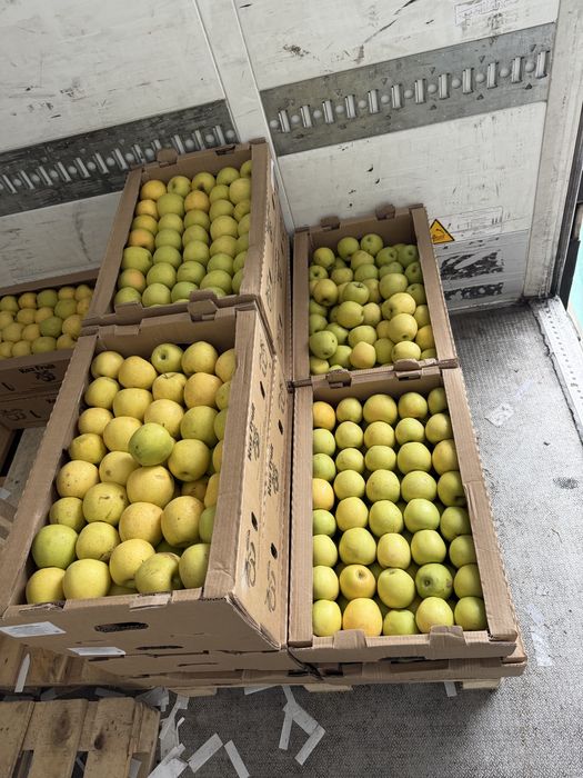 Яблоки(Алмата) не Польша