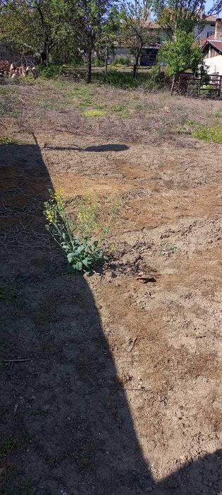 Продава се Къща в Омуртаг - 150 кв.м за 357 €/кв.м - Снимка #4