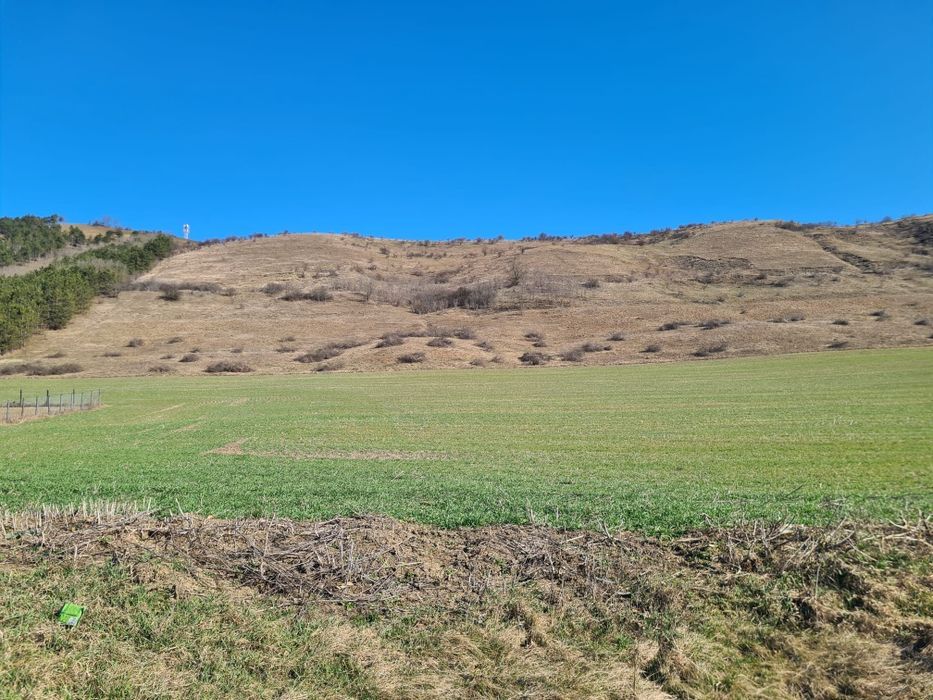 Teren intravilan Caianu  4500  mp.