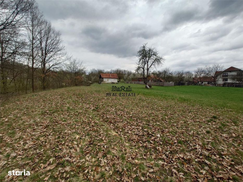 10 000 mp teren intravilan cu priveliste