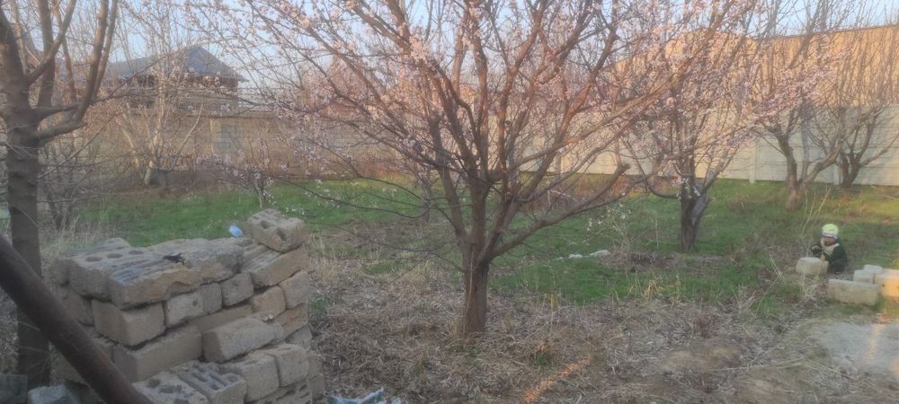 Yer Sotiladi Toshkent Tumani Gish koprida