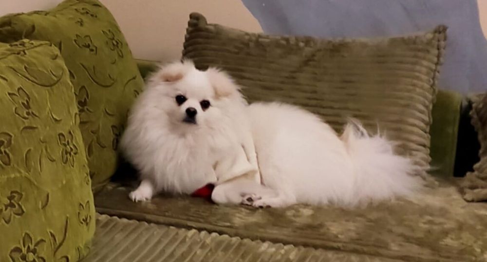 Ищем    подружку