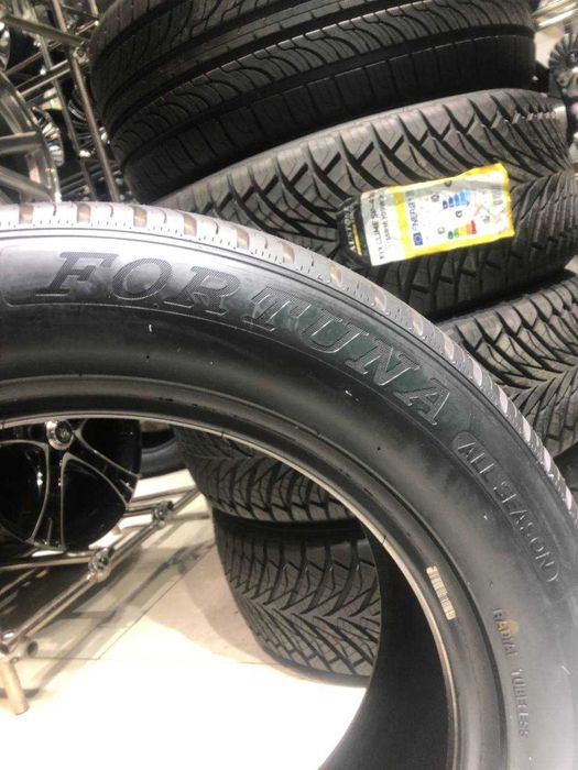 Fortuna Ecoplus 4S 225/55 R17