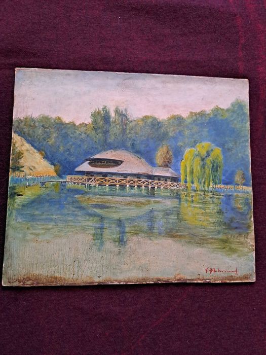 tablou pictura pe carton gros 35/40 cm semnat f hillebrand