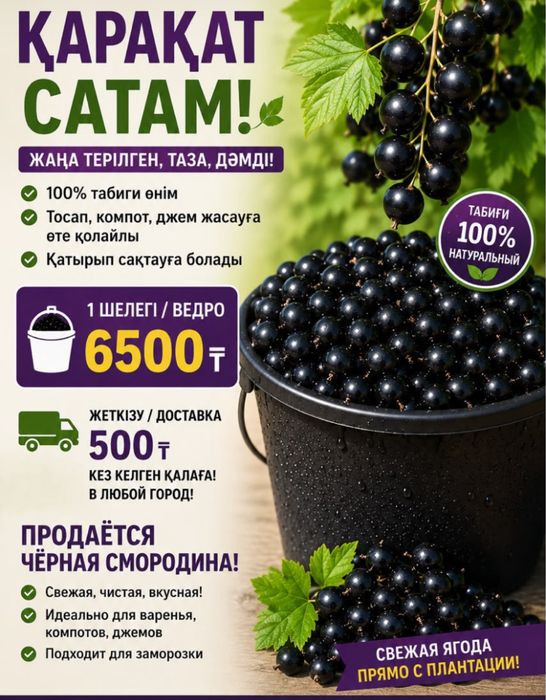 Продаётся смородина !
