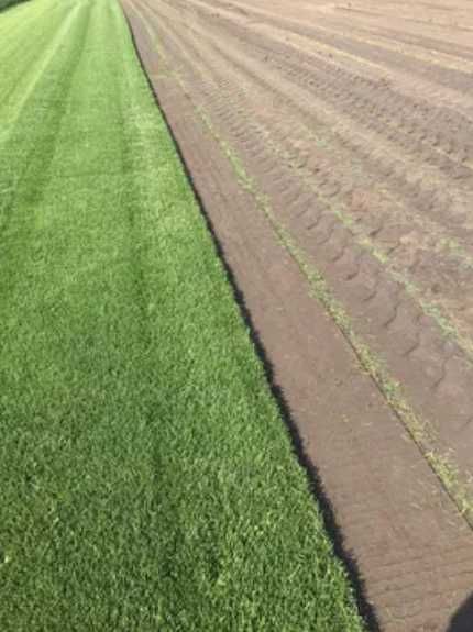 Gazon Natural Dens – Verificare Video și Montaj la Adresă