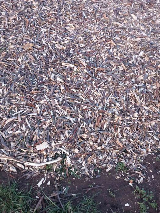 Дробилка за клони