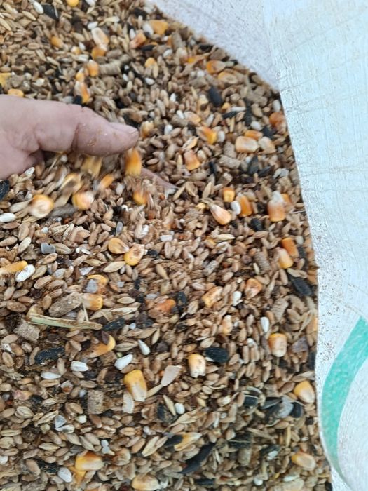 Продам корм для курей.