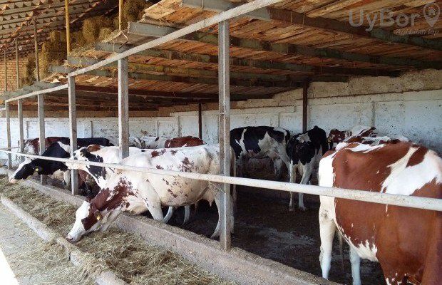 Продается участок 50 сотих