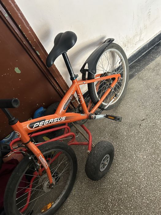 Masina tip cart, bicicleta pegsus