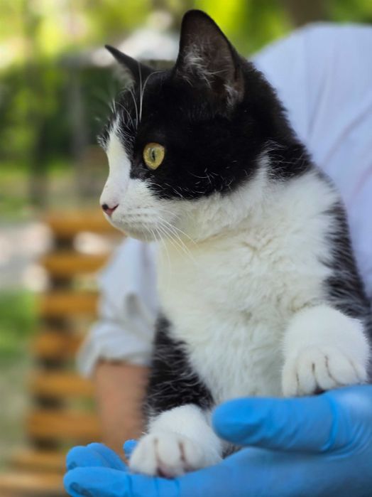 Особенный красавчик Мурзик ищет любящую семью