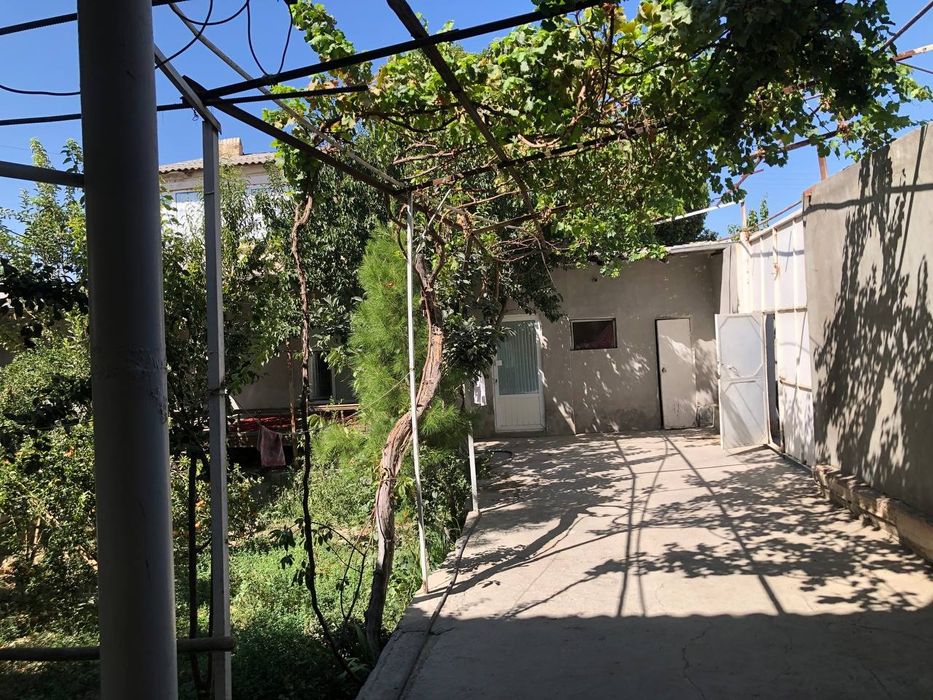 Katej sotiladi eski shaharda