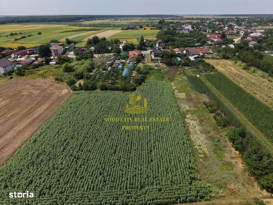 Teren 2.700 mp Ciocănești - Urziceanca | La asfalt