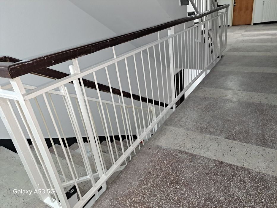 Servici profesionale de vopsire balustrade scări de bloc
