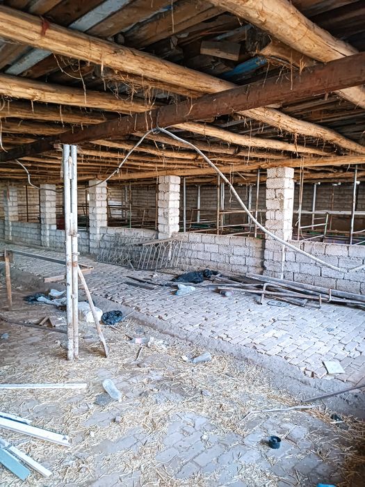 ferma sotiladi mol qoy boqishga moljalangan