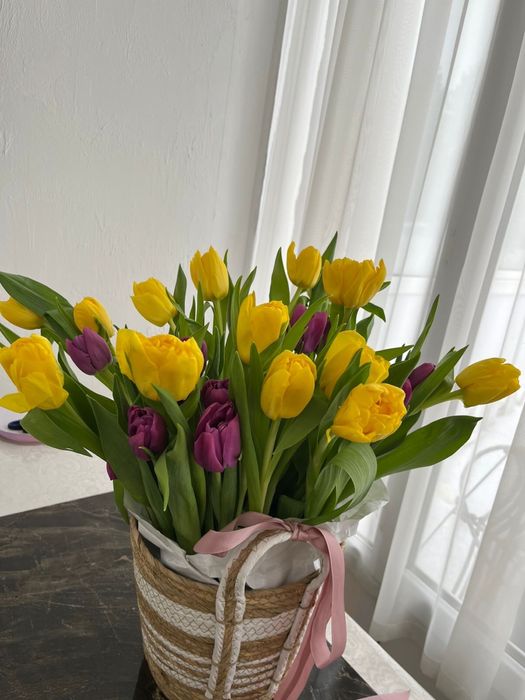 Премипльные тюльпаны