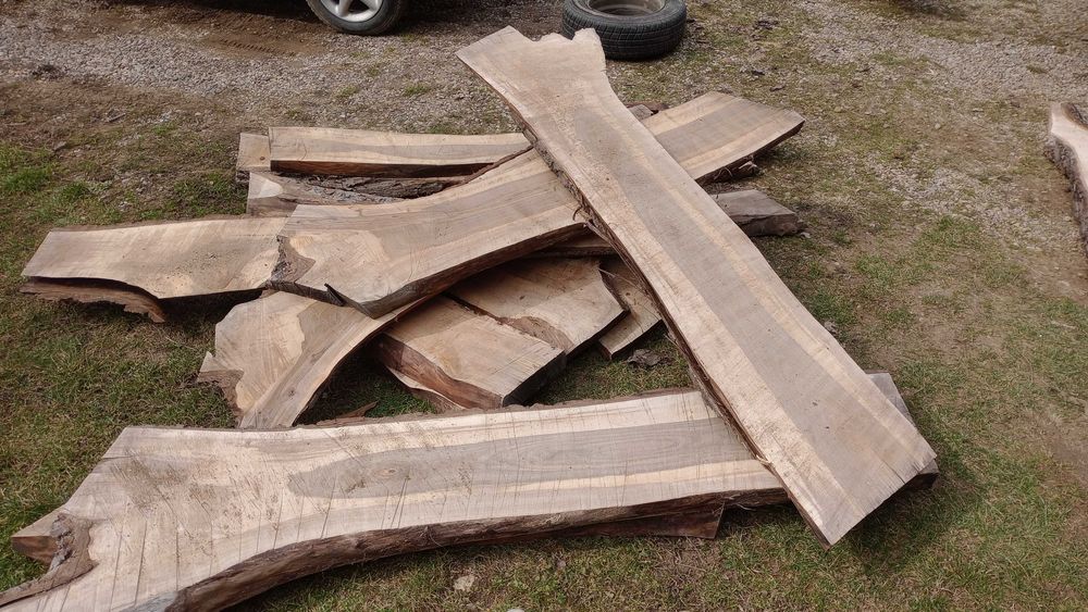 янове талпи орех