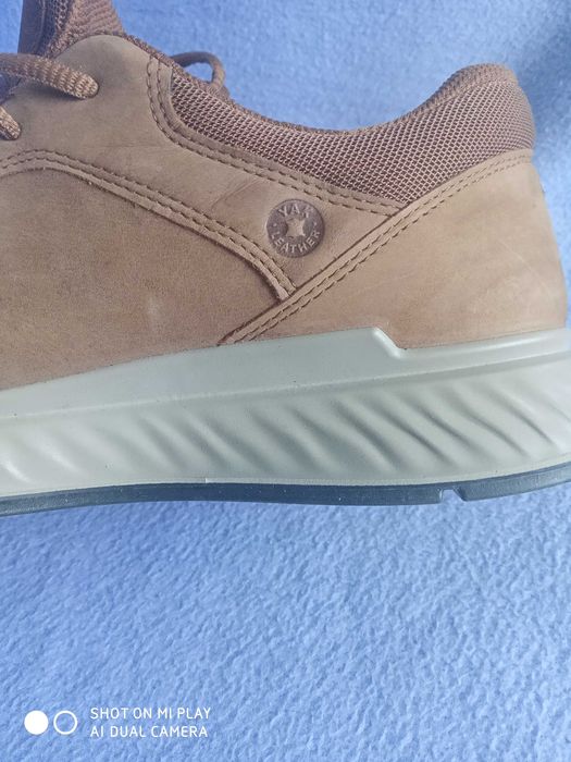 Ecco coretex номер 41.