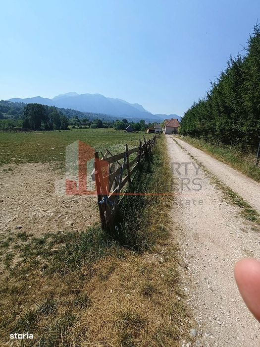 Teren intravilan 1.495 mp | Bran- Tohanu Nou | Vedere Bucegi | Deschid