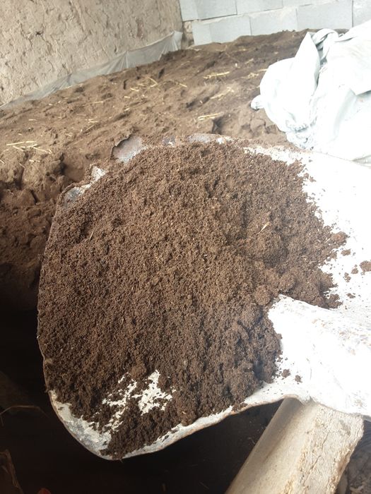 Биогумс 50 тенге литр