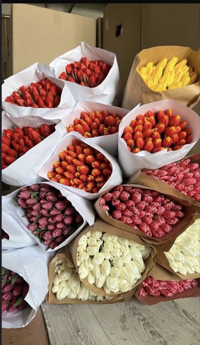 Тюльпаны на 6,7,8 марта оформление