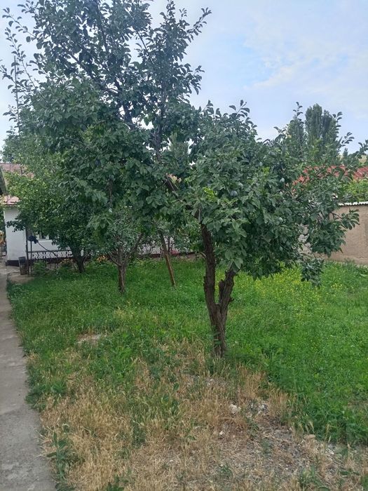 Продаётся дом в Бустанлыкском районе посёлок Таваксай
