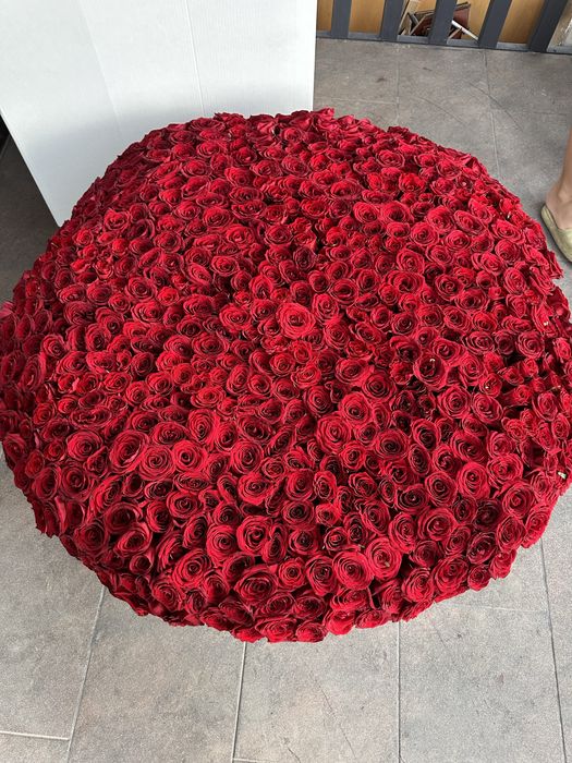 606 роз коробка гигант