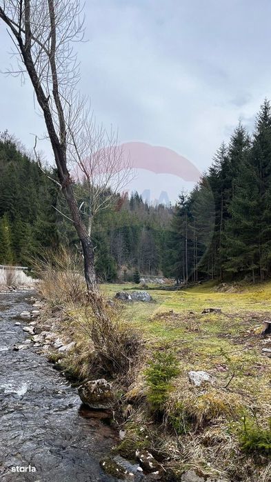 Arieșeni–Strada Fața Cristesei -Teren 4.331 mp cu Peisaj de Poveste