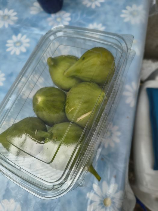 Smochine, borcane pentru legume