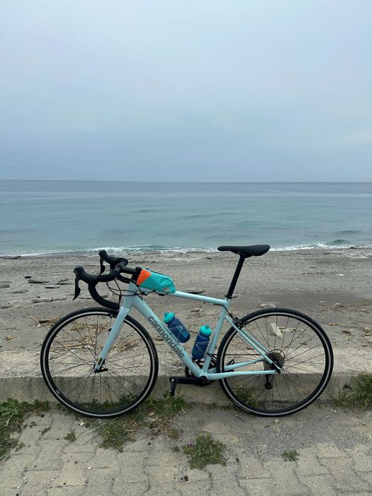 Cannondale CAAD Optimo 2