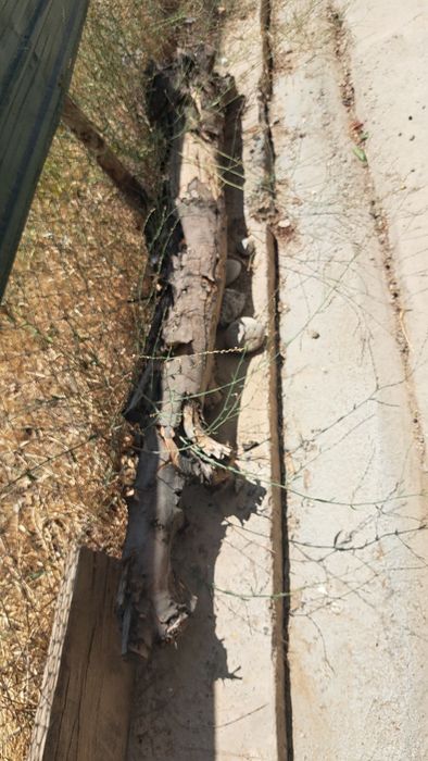 Дрова вишни, полки, рейки,