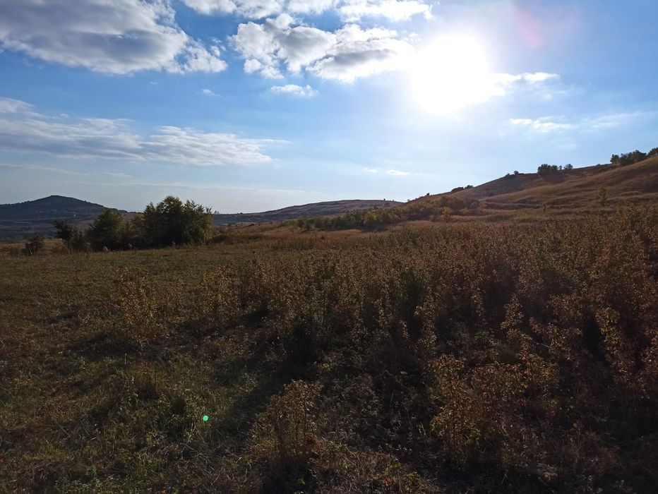 Terenuri in extravilan