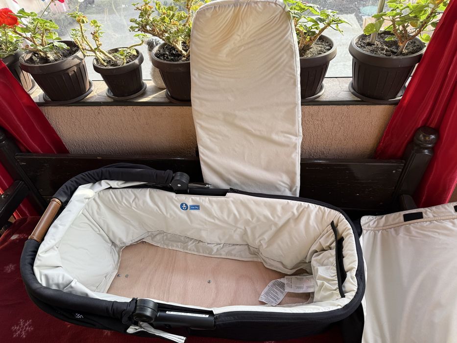 Landou Ramble XL Signature, Eclipse