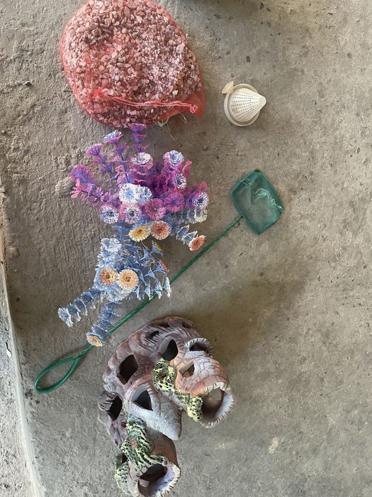 Для аквариума