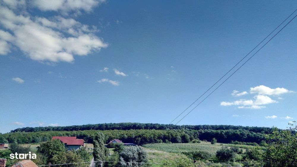 Casa frumoasa cu o curte minuna, mobilata complet, utilata 700mp teren