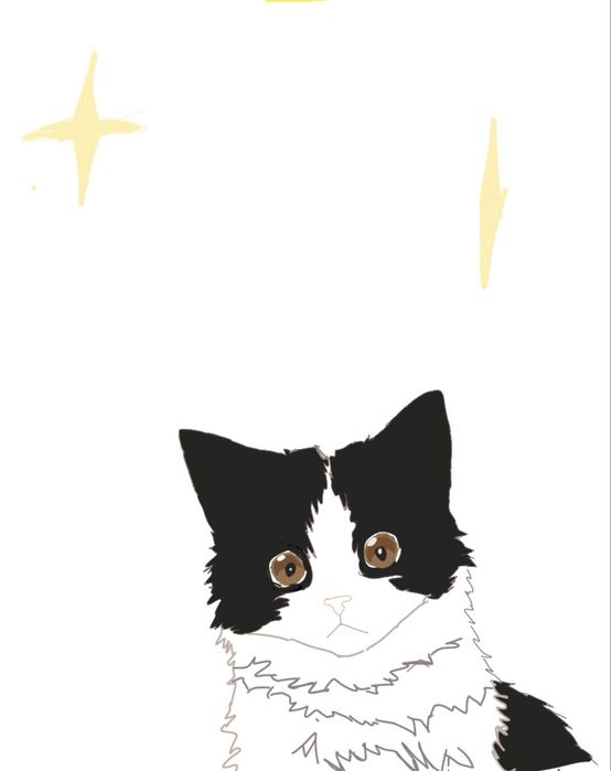 Рисую ваших животных