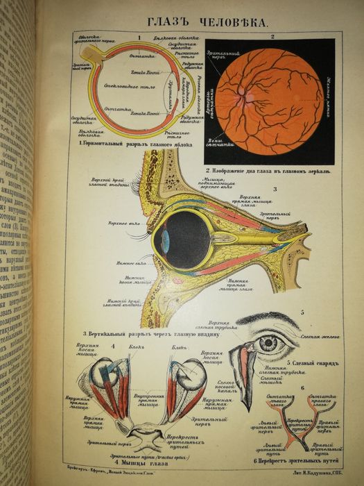 Энциклопедический словарь Брокгауз-Ефрон. Том 13
