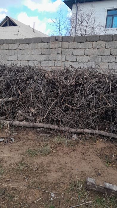 Ағаш отын кесілген