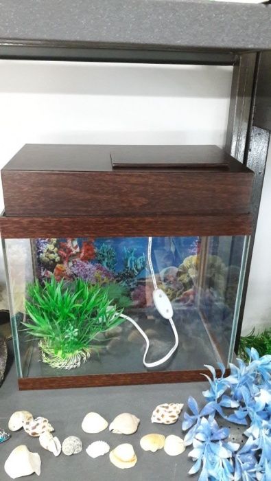 Аквариум алматы купить.НавоиФрунзе