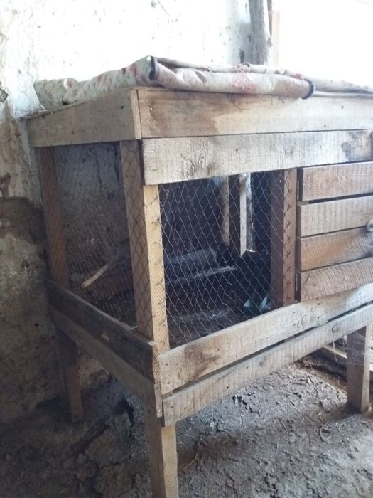 Клетка для цыплят